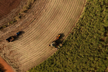 harvester and trailer in sugar cane field in sunny afternoon - top view
