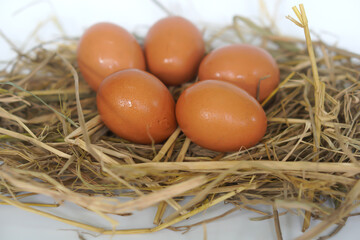 Chicken eggs on straw on a white background