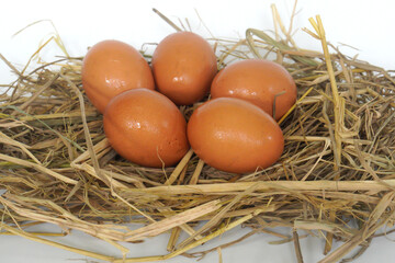 Chicken eggs on straw on a white background