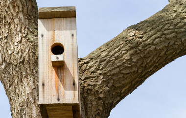 Bird feeders. Feeding birds in the forest. Birdhouse on a tree.