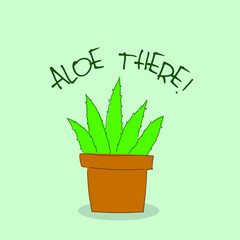 puns aloe vera plant in pot