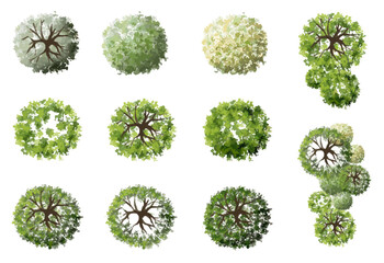 Vector green tree top view isolated on white background for landscape plan and architecture drawing, elements for environment and garden.  