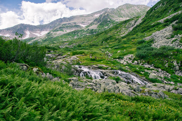 View with beautiful glacier in snow on horizon, mountain peaks and slopes covered with green grass and trees against sky and clouds