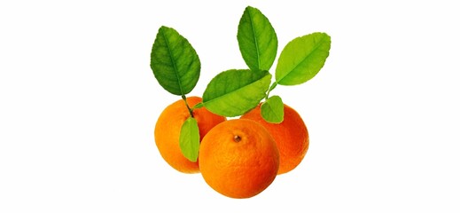 orange with leaves