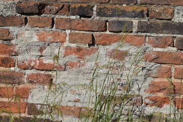 Brick wall with grass