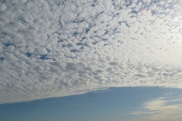 Obraz premium Cirrocumulus clouds covered blue sky, natural cloudscape