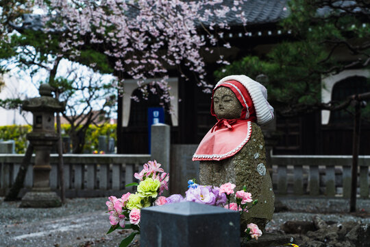 本覚寺のお地蔵と枝垂れ桜