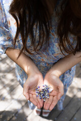 Woman wearing dress holding a purple wisteria lavender flower petals on the hand