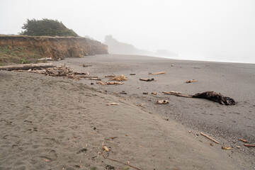 foggy coastal cliffs and beach of Gualala Point Regional Park California