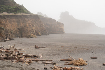 foggy coastal cliffs and beach of Gualala Point Regional Park California