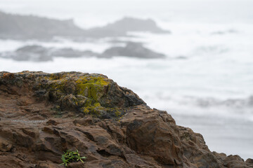 Fototapeta na wymiar rocky cliff with fog and ocean waves