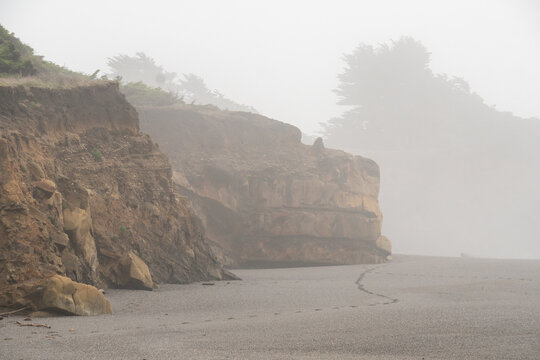 foggy coastal cliffs and beach of Gualala Point Regional Park California