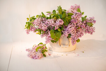 bouquet of lilac in a vase