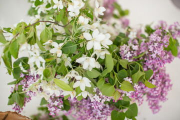 lilac branch on a white background