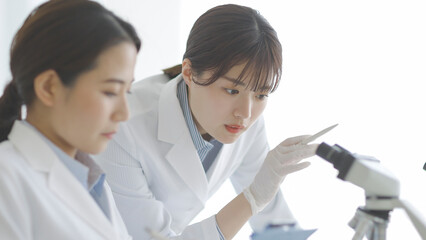 研究をする白衣の女性