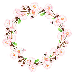 Fototapeta na wymiar Sakura wreath. Watercolor illustration. Isolated on a white background.For design