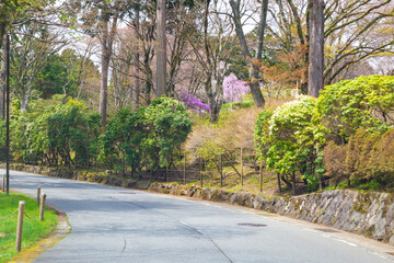 The Shrine street Leading Through komagatake ropeway in Hakone town, Kanagawa prefecture, Japan.