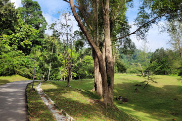 Beautiful Nature Landscape Of Penang Botanical Garden.
Botanical gardens provide an excellent medium for communication between the world of botanical science and the general public.