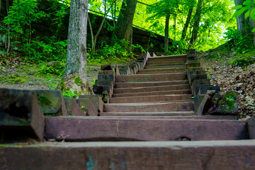 stairs in the forest