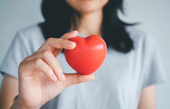 Woman Hands Holding A Red Heart, Heart Health Insurance, Health Care.