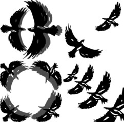 Black and White Flying Birds Vector Illustration
