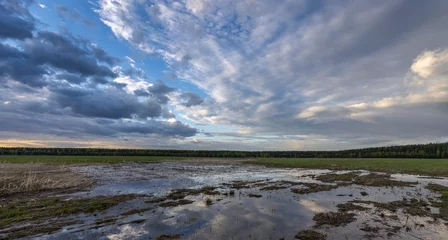 Foto op Canvas A large puddle in the middle of a plowed field. Swampy field, evening rural landscape. A strip of forest on the horizon. Sunset sky. © Sergei