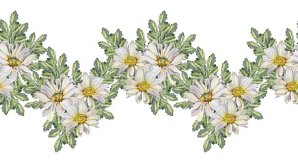 Obraz na płótnie Canvas Seamless rim watercolor chrysanthemum daisy chamomile with green leaves on white background. Hand-drawn summer bloom flower for florist. Border for celebration wedding wrapping textile, coloring book