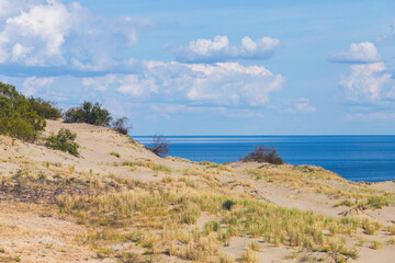 Curonian Spit summer landscape. Coastal dunes