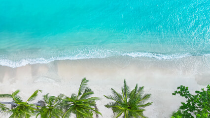 The sunny tropical Caribbean beach with palm trees and turquoise water, island vacation, hot summer...