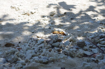 Beaches near Ujung Bocur, Krui, Indonesia