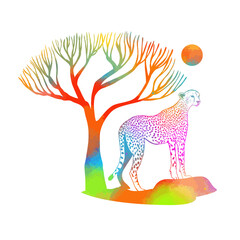 Leopard in Africa is colored. Vector illustration