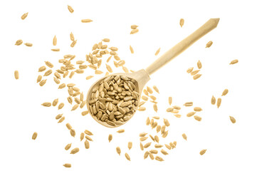 peeled sunflower seeds in a wooden spoon