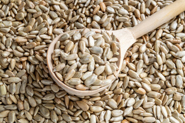 sunflower seeds in a wooden spoon
