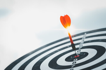 Bullseye is a target of business. Dart is an opportunity and Dartboard is the target and goal....