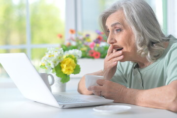 senior woman using laptop at home