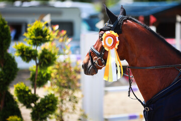 Horse head portraits in the award ceremony with a gold ribbon for the winner..
