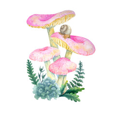 Watercolor mushrooms, leaves, snail on white background. Botanical illustration for postcards, posters, textile design.