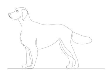 dog drawing in one continuous line, isolated