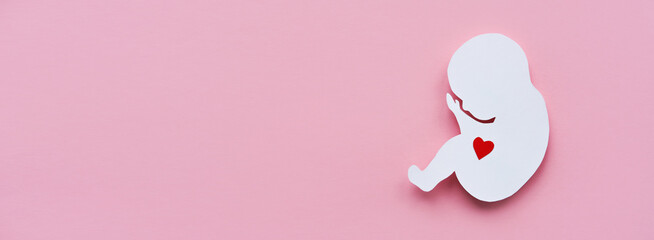 Paper silhouette of a human embryo with a red heart on a pink background. Flat lay,Banner, place...