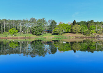 Fototapeta na wymiar 湖面に映る新緑の風景