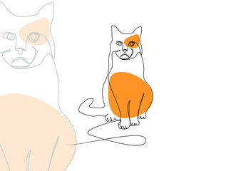 Cat line art illustration