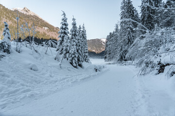 View at lake Montriond.