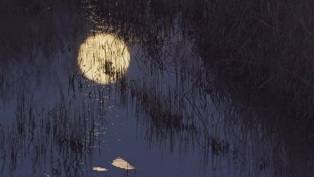 Full moon reflection in water