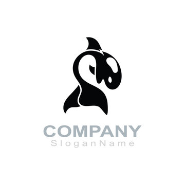 Orca logo image fish animal sea design illustration icon