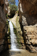 Streams and waterfalls Nature Reserve Ein Gedi at the Dead Sea in Israel