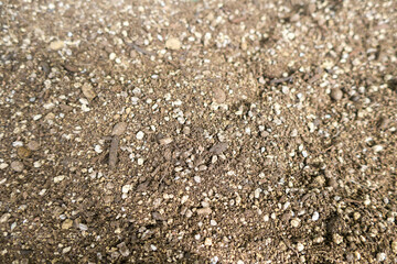 茶色い土のテクスチャ素材