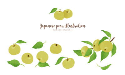 ナチュラルなタッチの和梨のイラスト/横レイアウト