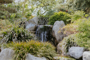Waterfall in the garden