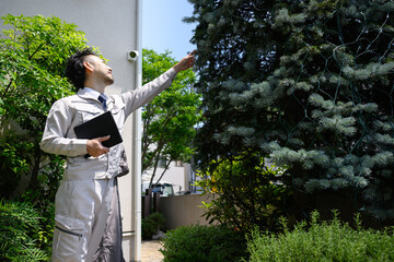 I'm asking for a quote from a contractor for yard pruning.