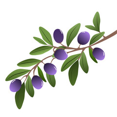 Branch with olives vector for background